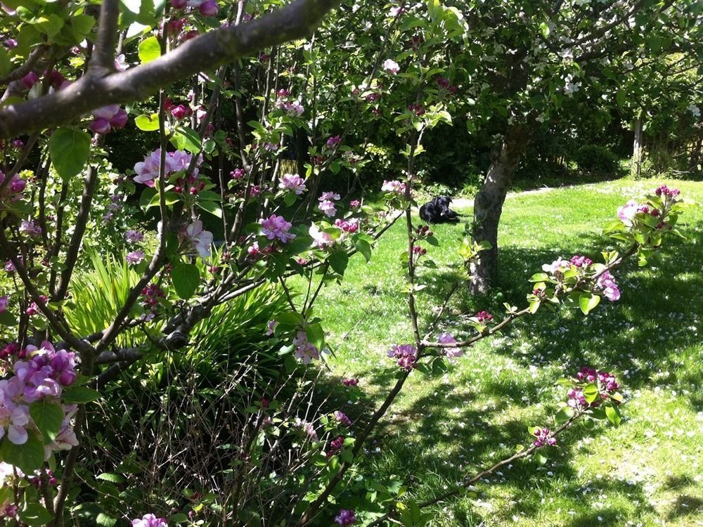 Arbour House B&B Swanage Eksteriør billede
